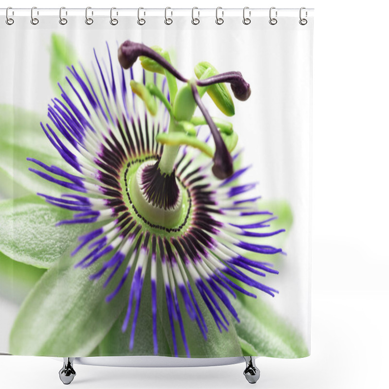 Personality  Passionflower Close Up Shower Curtains