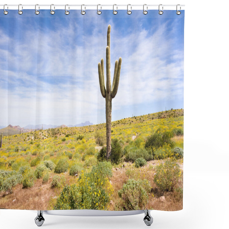 Personality  Springtime In The Desert Shower Curtains