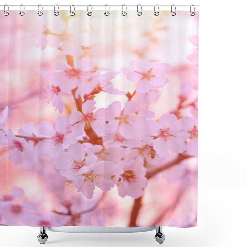 Personality  Beautiful Blooming Tree Shower Curtains