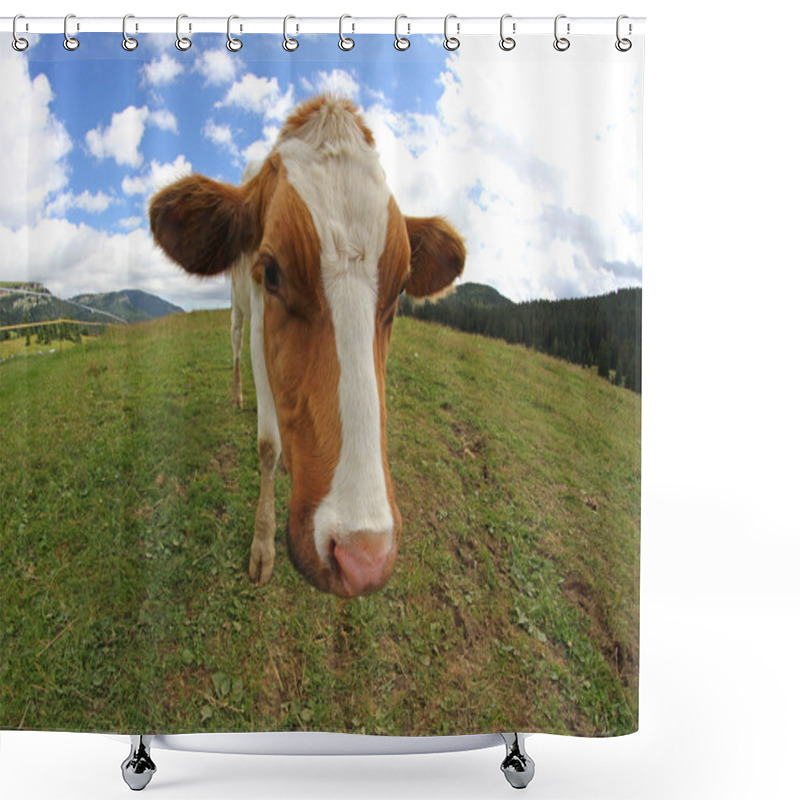 Personality  Great Cow Grazing Shot With Fisheye Lens Shower Curtains