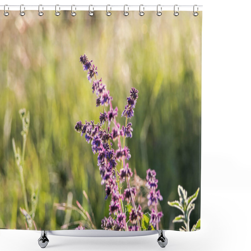 Personality  Wild Basil Plant Blooming In Spring Shower Curtains