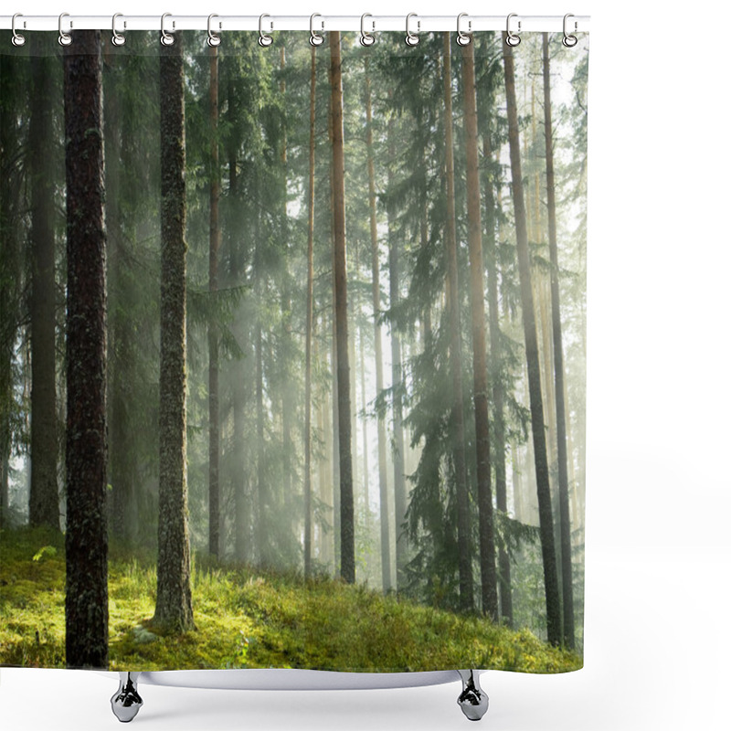 Personality  Forest Shower Curtains