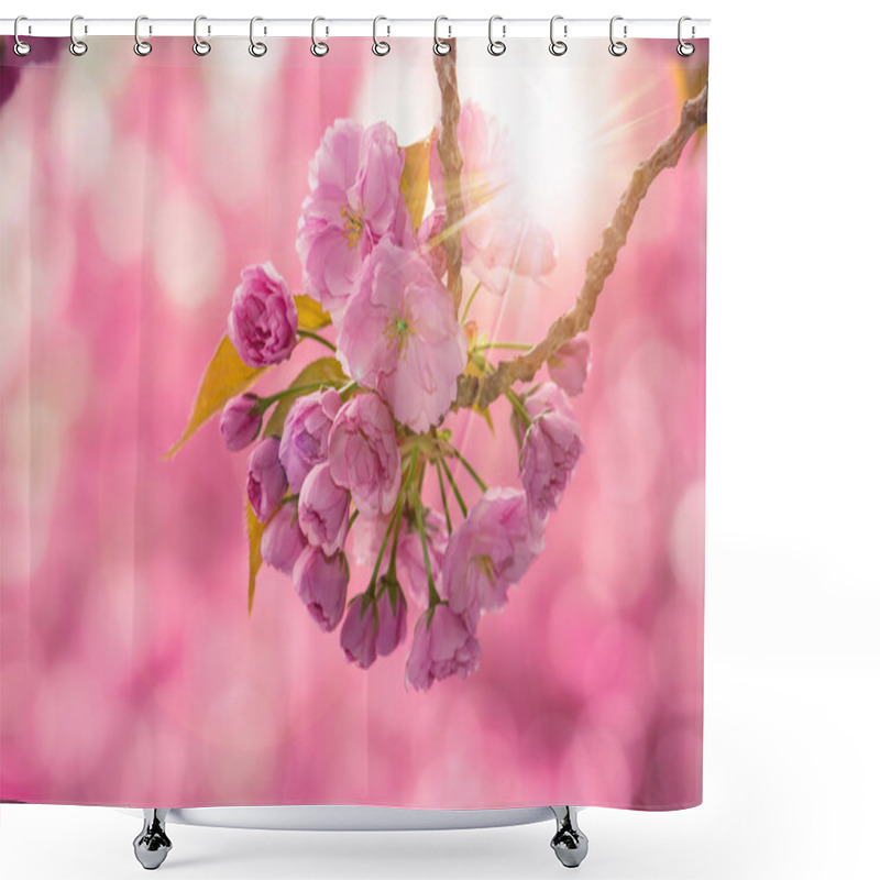 Personality  Pink Cherry Blossom Flowers Shower Curtains