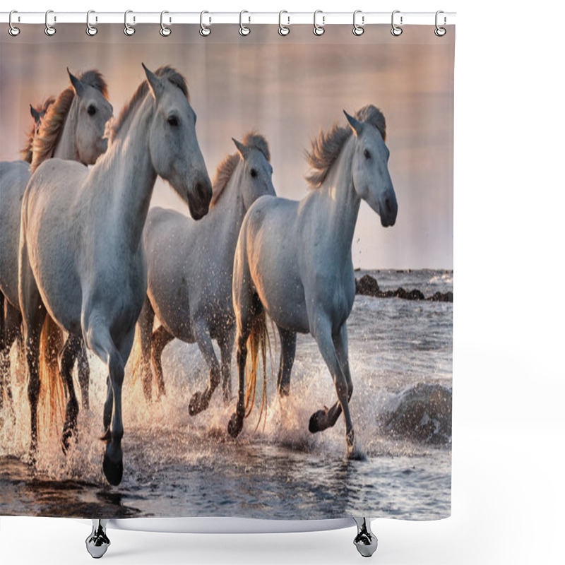 Personality  White Horses In Camargue, France. Shower Curtains