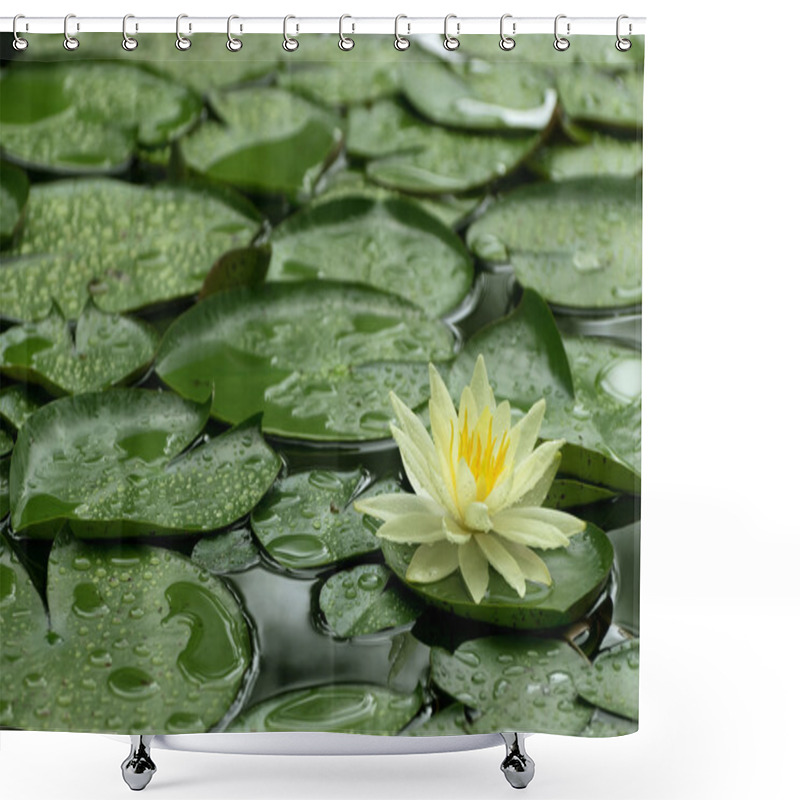 Personality  Yellow Water Lily After Rain Shower Curtains