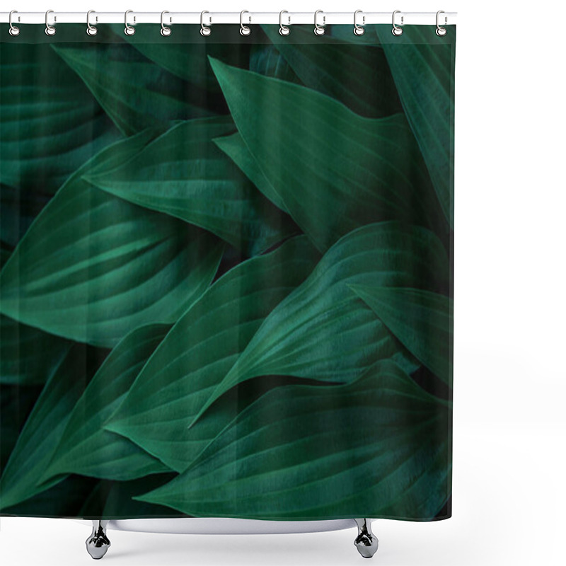 Personality  Dark Green Leaves, Details Textured Floral Background Shower Curtains