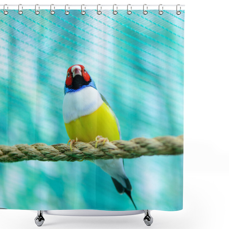 Personality  Beautiful Little Bird Shower Curtains