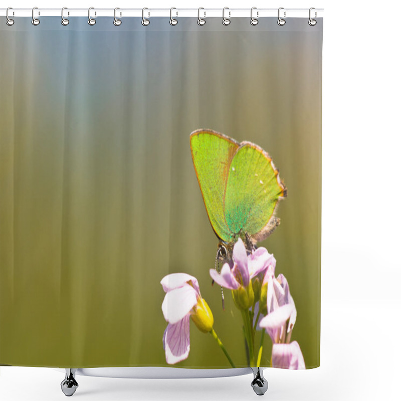 Personality  Butterfly Warming Its Wings In The Sun Shower Curtains