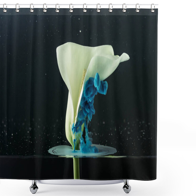 Personality  Close-up View Of Beautiful Tender White Calla Lily Flower And Blue Ink On Black Shower Curtains