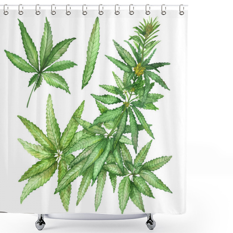 Personality  Watercolor Hand Painted Nature Collection With Green Hemp Marijuana Weed Herbs Plants Leaves, Branches And Flowers Set Isolated On The White Background For Different Design Elements Shower Curtains