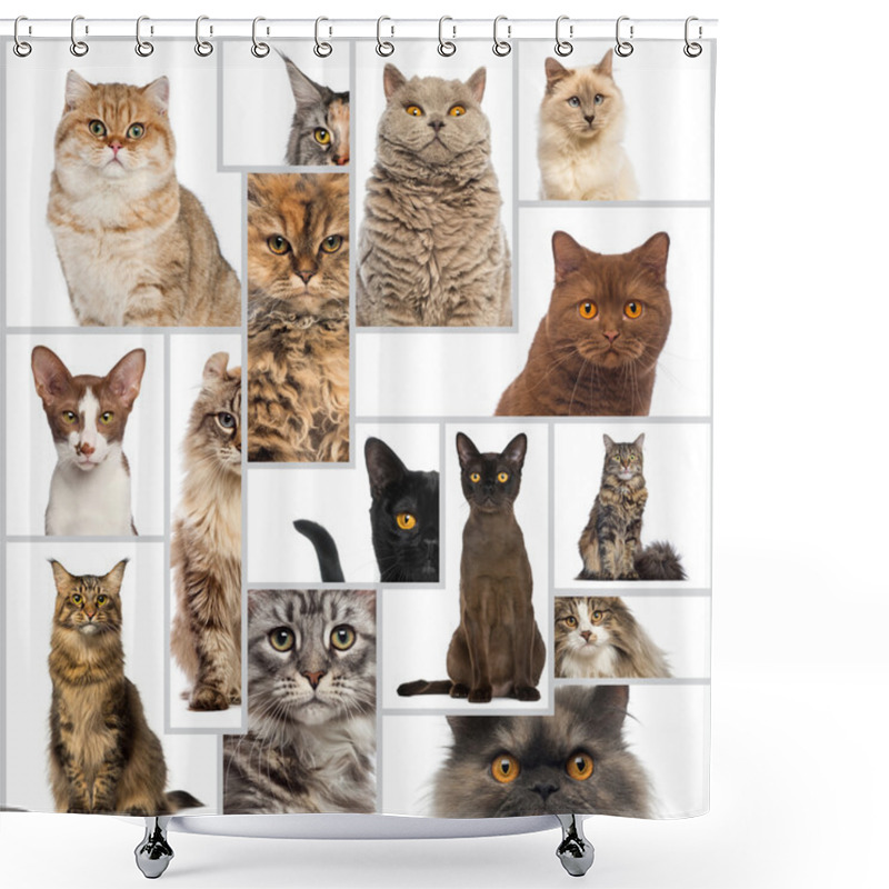 Personality  Composition Of Cats Shower Curtains