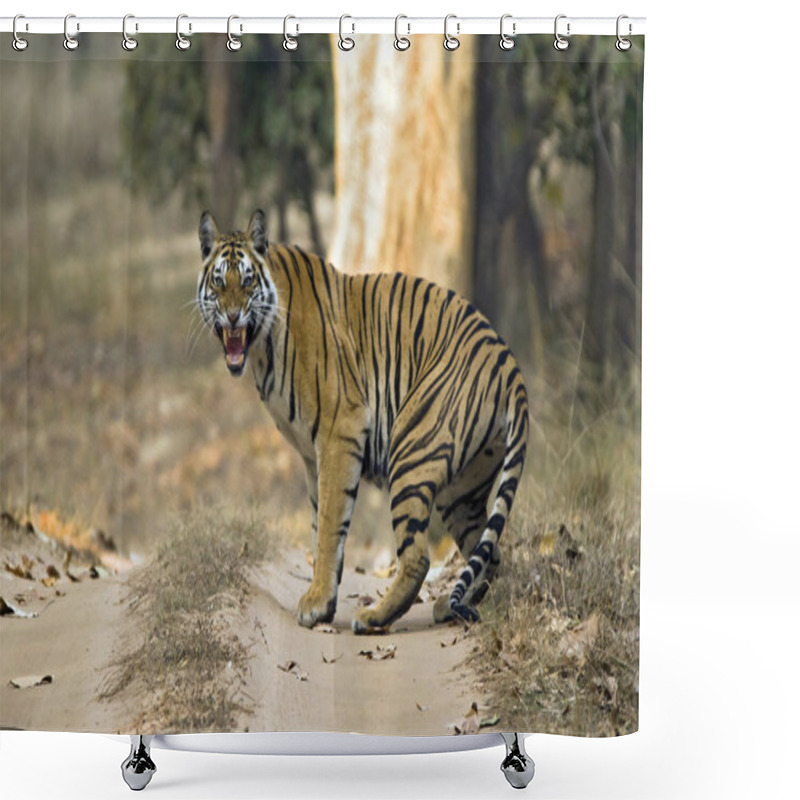 Personality  Tiger Showing Teeth Shower Curtains