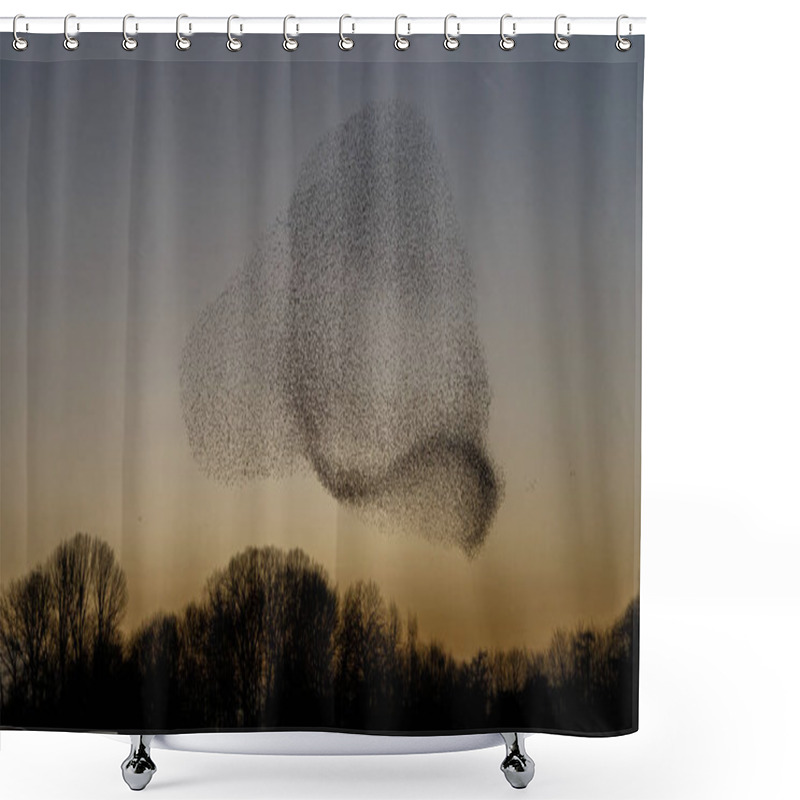 Personality  Murmurations Of Starlings During Sunset, Beautiful Nature Background Shower Curtains