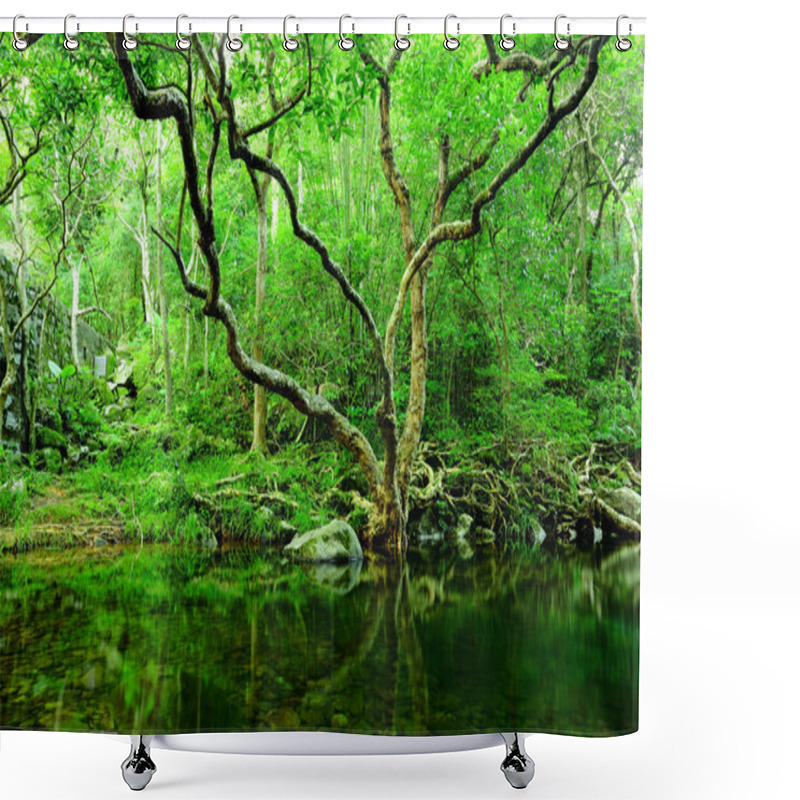 Personality  Tree And Water In Jungle Shower Curtains