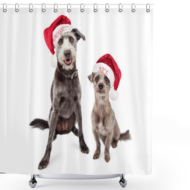 Personality  Funny Naughty And Nice Christmas Dogs Shower Curtains