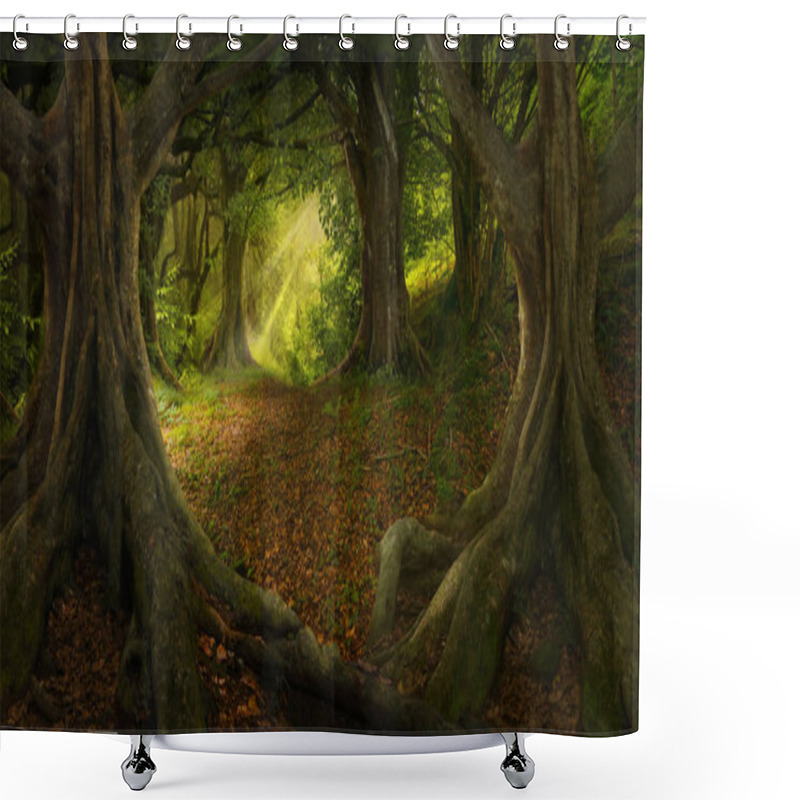 Personality  Tropical Rain Forest In Asia Shower Curtains