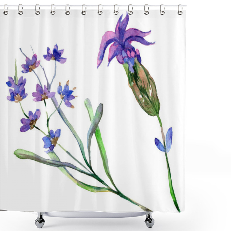 Personality  Purple Lavender Flowers. Wild Spring Wildflowers Isolated On White. Hand Drawn Lavender Flowers In Aquarelle. Watercolor Background Illustration. Shower Curtains