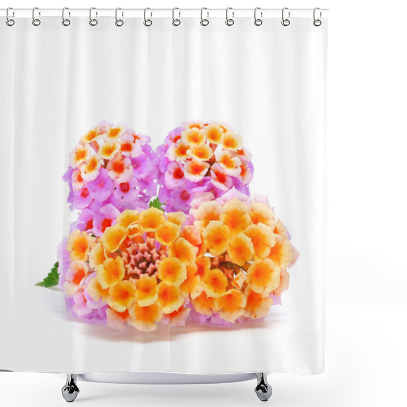 Personality  Verbenas Shower Curtains