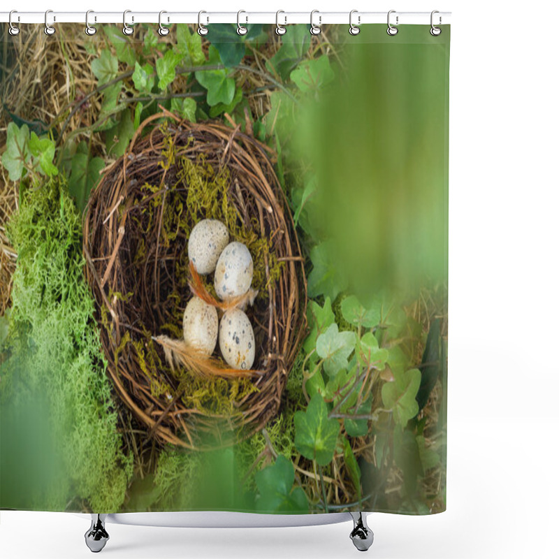 Personality  Hidden Nest With Eggs Shower Curtains