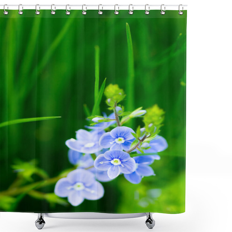 Personality  Summer Field Under Sunlight Shower Curtains