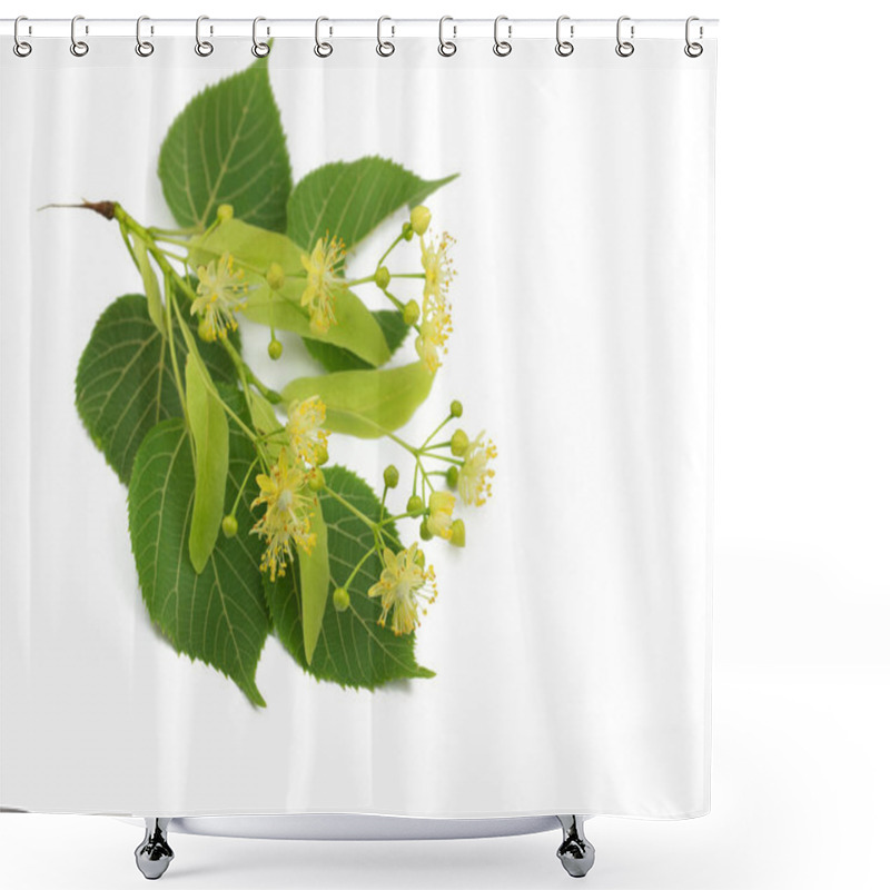 Personality  Linden Flowers And Leaves Isolated Against White Background Shower Curtains