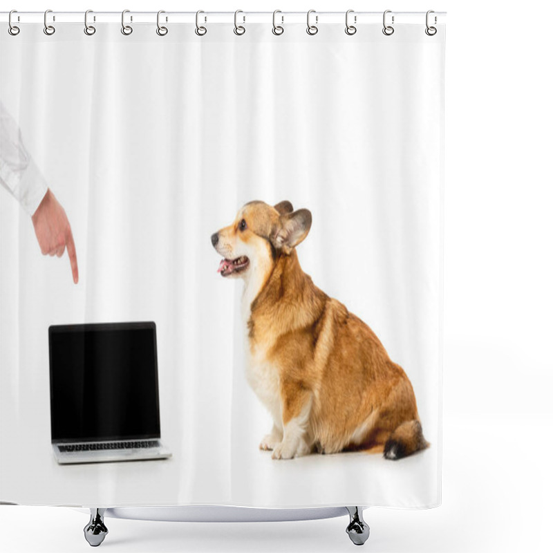 Personality  Cropped Image Of Man Pointing By Finger At Laptop With Blank Screen To Cute Corgi Isolated On White Background  Shower Curtains