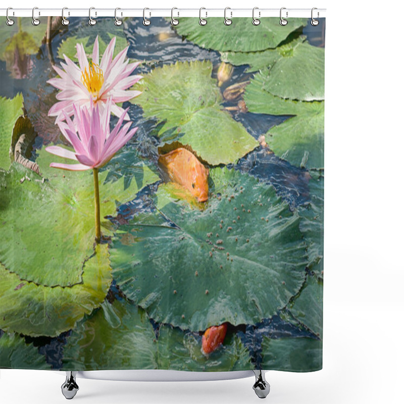 Personality  Goldfishes In The Lotus Pond  Shower Curtains