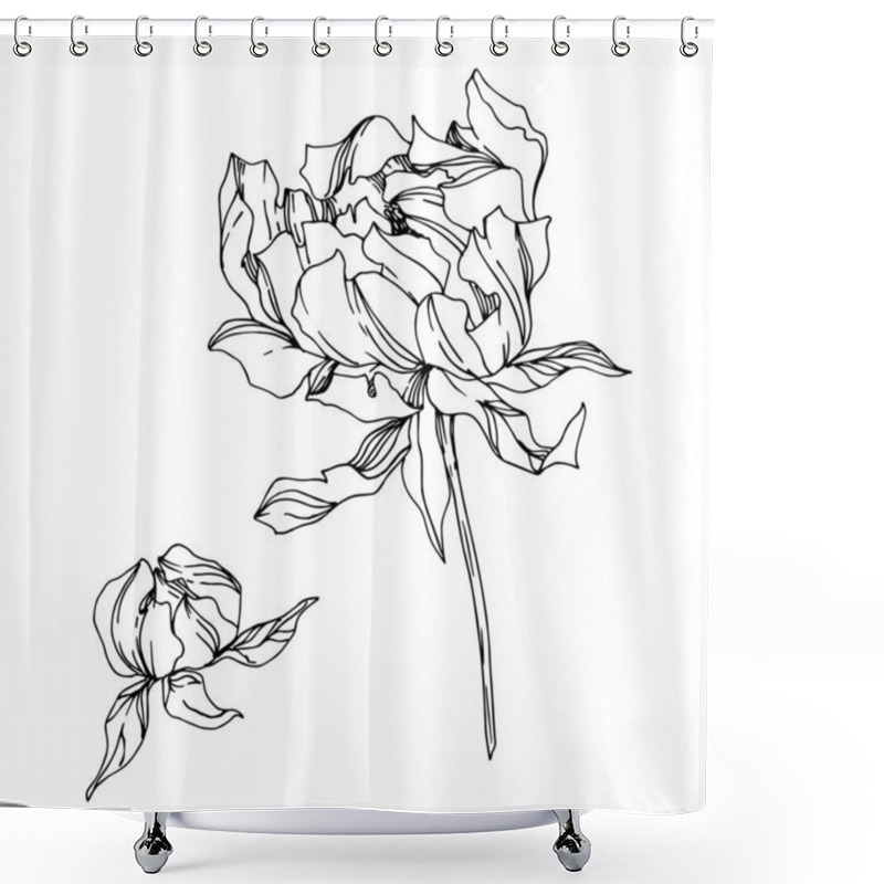 Personality  Vector Peony Floral Botanical Flowers. Black And White Engraved  Shower Curtains