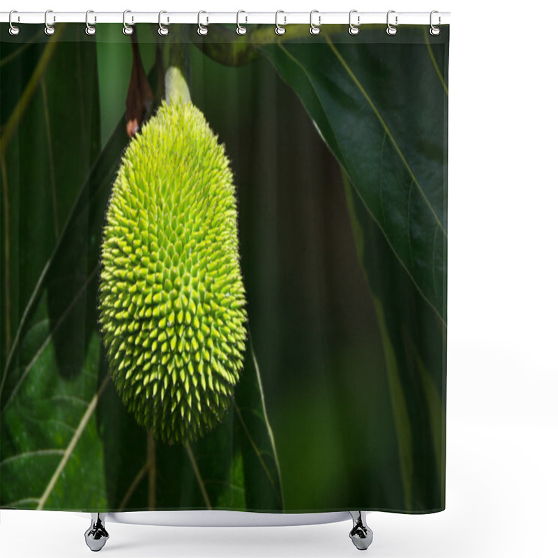 Personality  Breadfruit On A Tree Shower Curtains