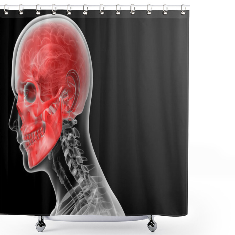 Personality  3d Render Human Skull Anatomy Shower Curtains