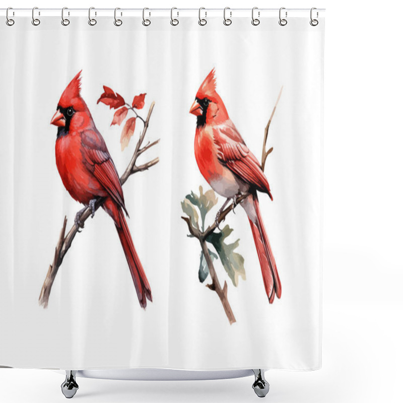 Personality  Red Cardinal Clipart, Isolated Vector Illustration. Shower Curtains