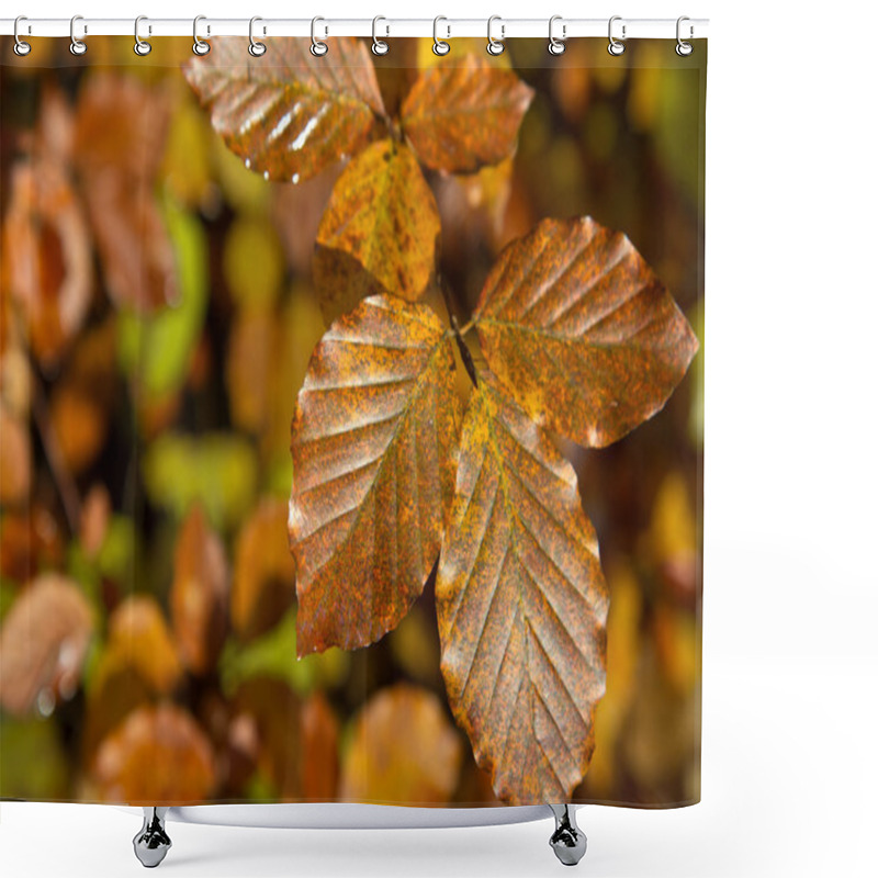 Personality  Indian Summer Shower Curtains