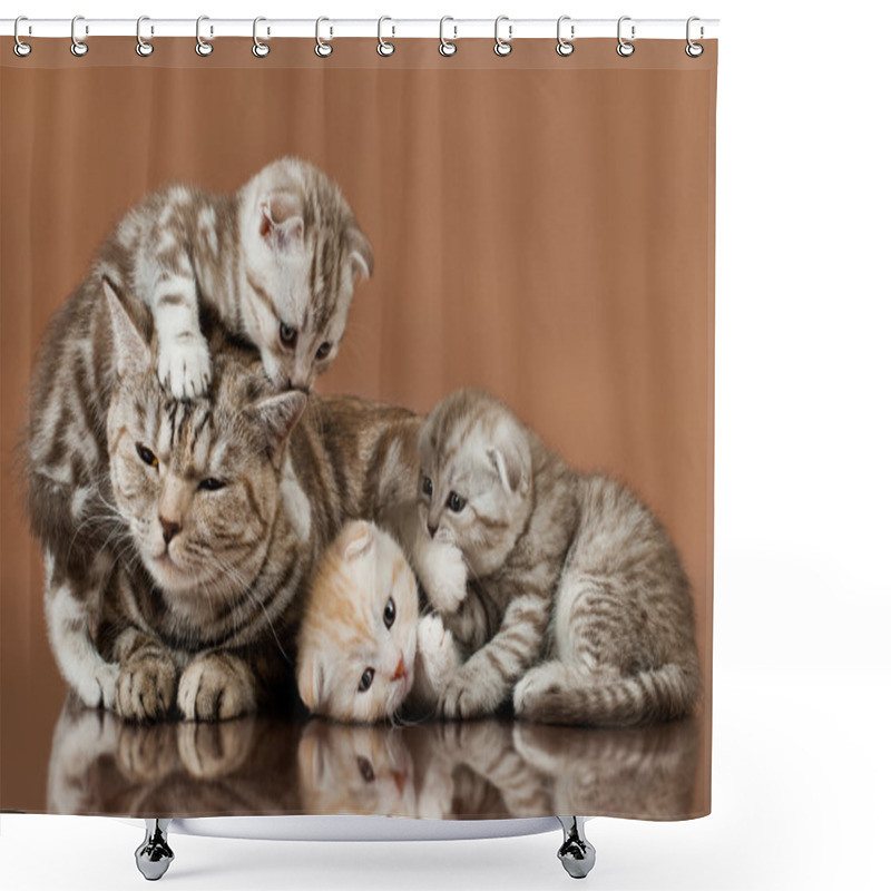 Personality  Kittens Shower Curtains