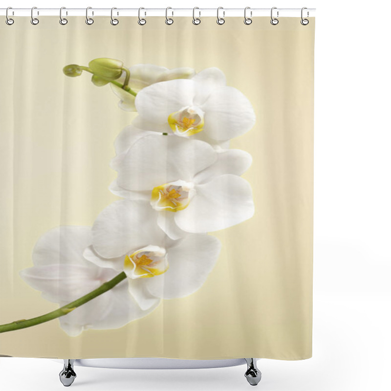 Personality  Beautiful White Orchid Flowers Shower Curtains