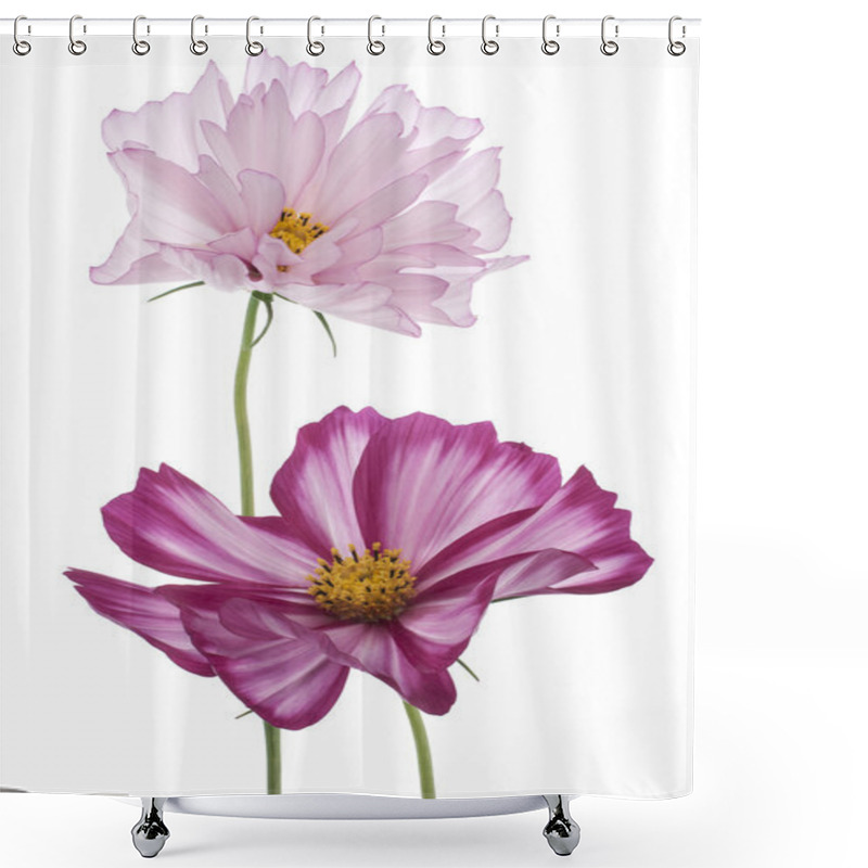 Personality  Cosmos Shower Curtains