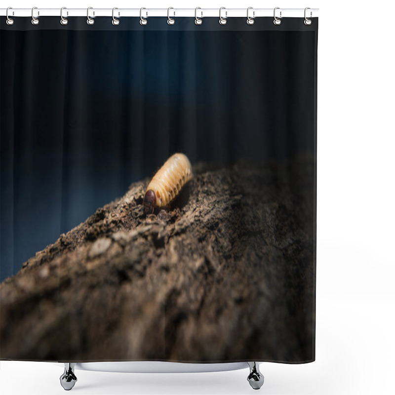 Personality  Illuminated Maggot At Night Shower Curtains