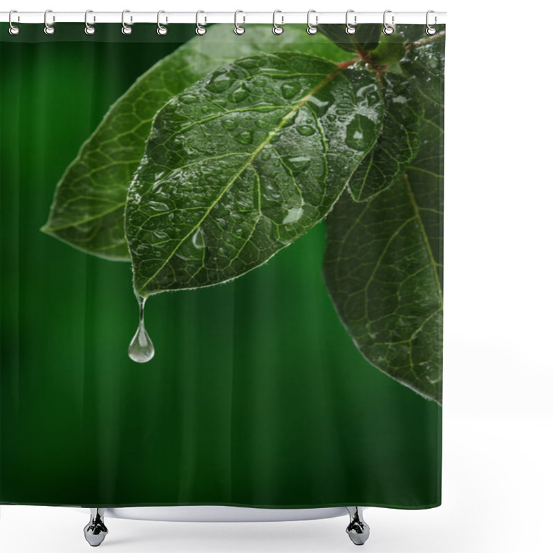 Personality  Fresh Leaf With Water Drop Falling. Natural Background Shower Curtains