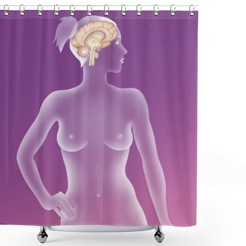 Personality  Brain System Shower Curtains