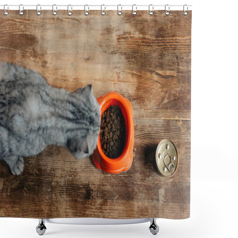 Personality  Top View Of Scottish Fold Cat Near Bowl With Pet Food On Floor Shower Curtains