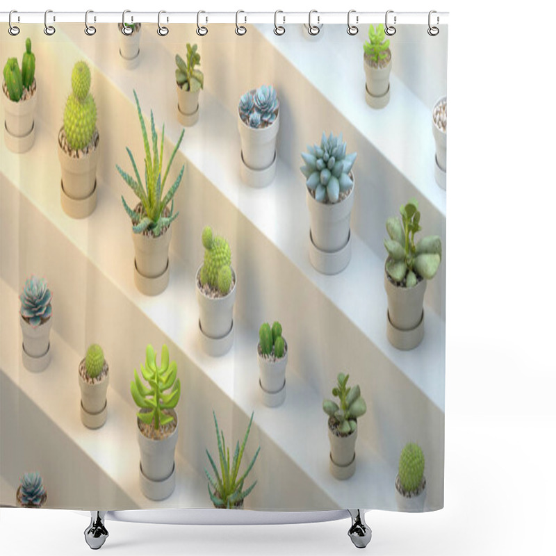 Personality  3d Rendering Of Many Realistic Cactuses With Pots On White Abstract Shelf Or Stairs. Isometric Angle, Side View. Shower Curtains