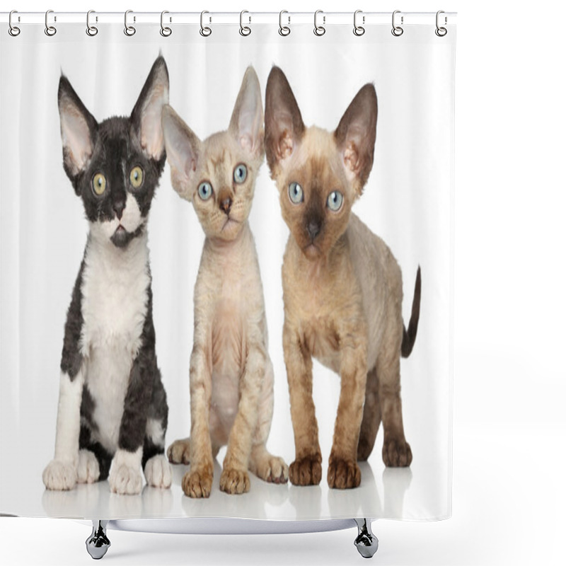 Personality  Devon-Rex Kitten Group On White Background Shower Curtains