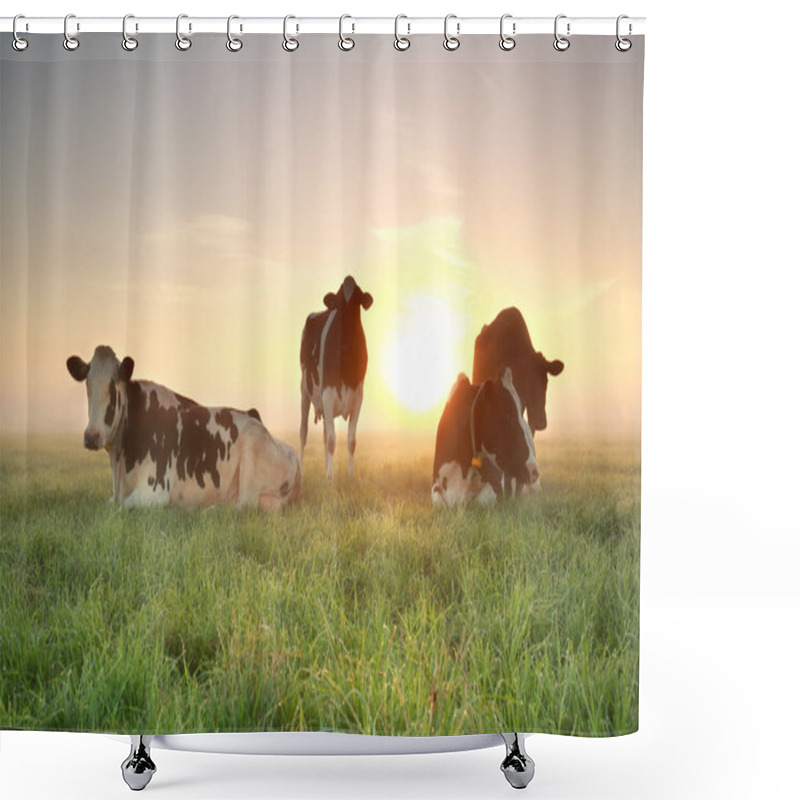 Personality  Few Cows On Relaxed On Pasture During Sunrise Shower Curtains