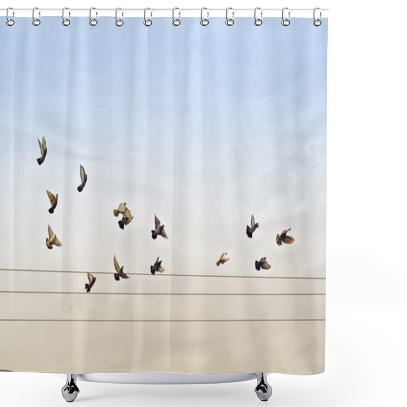 Personality  Flock Of Pigeons Over Power Wires Shower Curtains