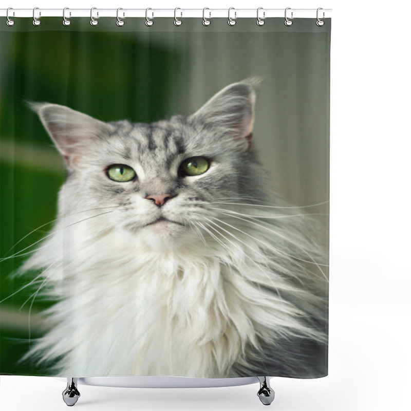 Personality  Maine Coon Cat Shower Curtains