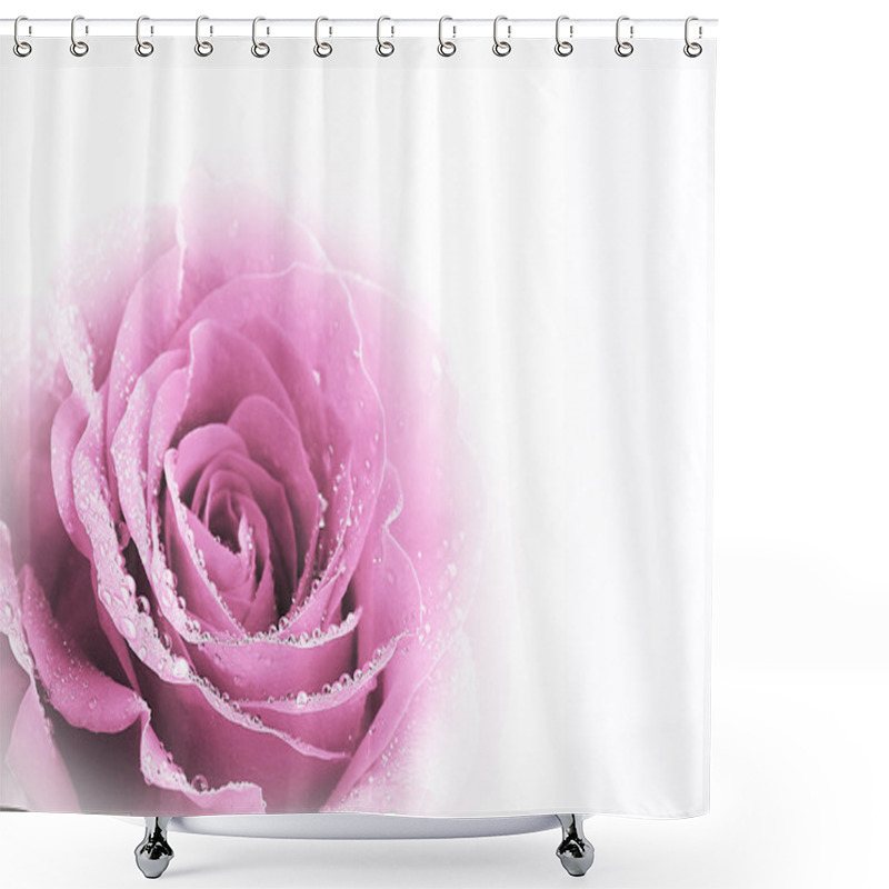 Personality  Beautiful Pink Rose Isolated On White Shower Curtains