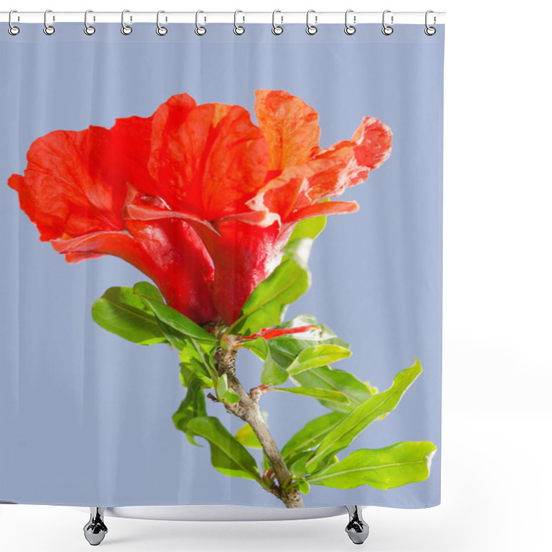 Personality  Bright Red Pomegranate Flowers Ovary And Petals Shower Curtains