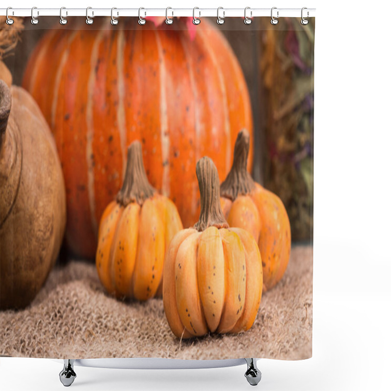 Personality  Still Life Autumn Harvest, Pumpkins And Mushrooms Shower Curtains