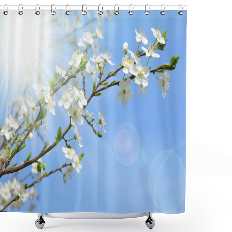 Personality  Spring Blossoms Cherry Tree Shower Curtains