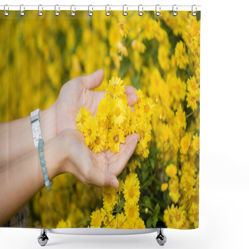 Personality  Female Hands Holding Flowers Of Chrysanthemum Plants In Natural Field Outdoors Shower Curtains