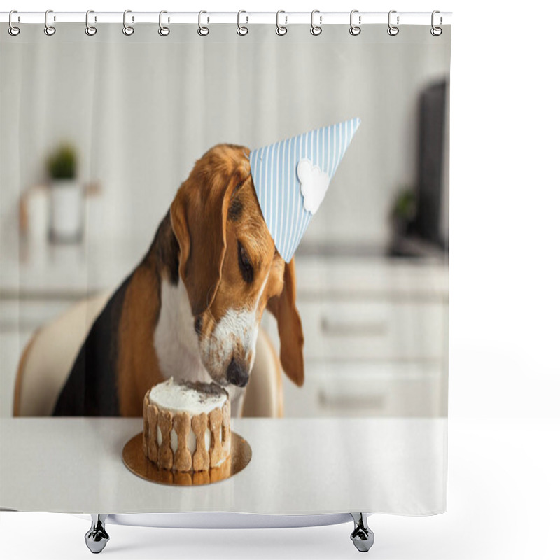 Personality  Birthday For A Dog Of Breed Beagle. Happy Dog Eating Delicious Cake Shower Curtains